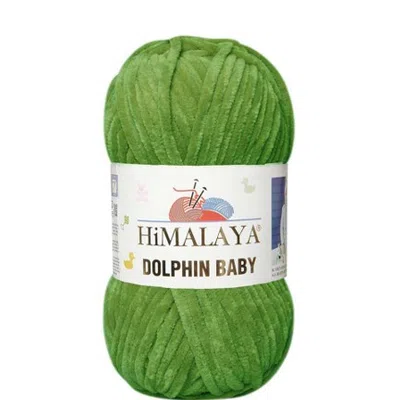 Dolphin Baby Himalaya 371
