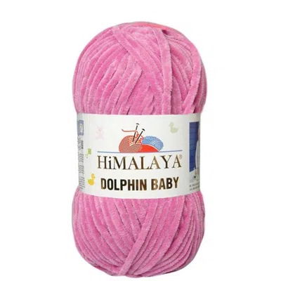 Dolphin Baby Himalaya 356 wrzos