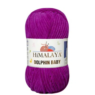 Dolphin Baby Himalaya 358 biskupi