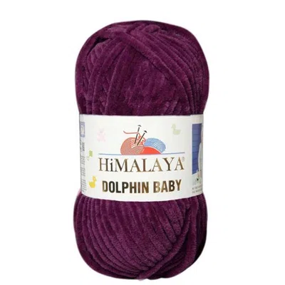 Dolphin Baby Himalaya 339